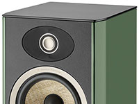 FOCAL Aria Evo X z wybarwieniem:  Moss Green HG