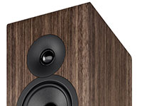 ACOUSTIC ENERGY AE300 z wybarwieniem Walnut