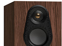 Fornir European Walnut